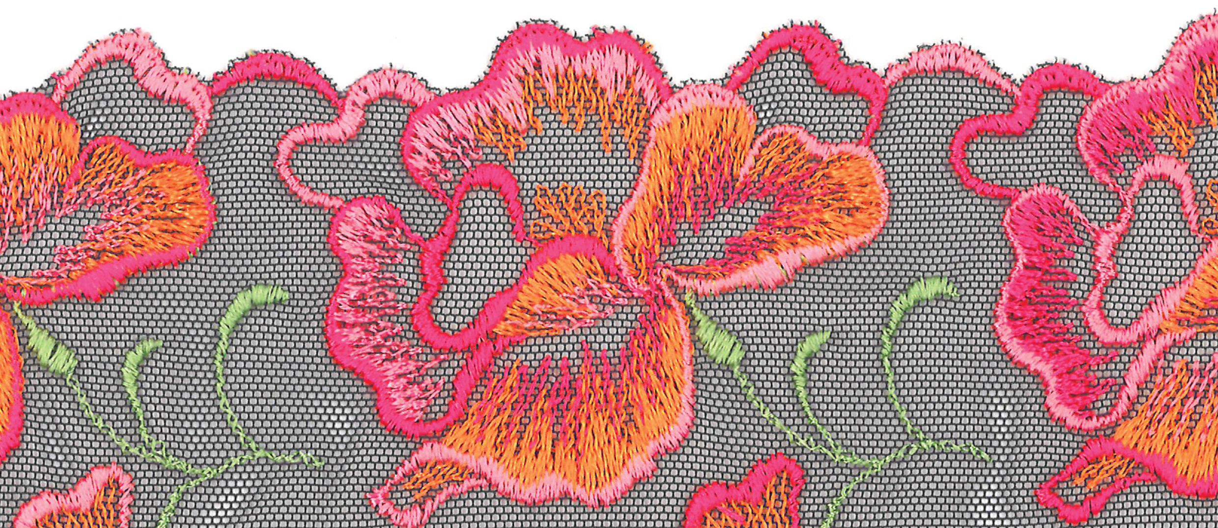 Velvet Blue PrimaDonna 