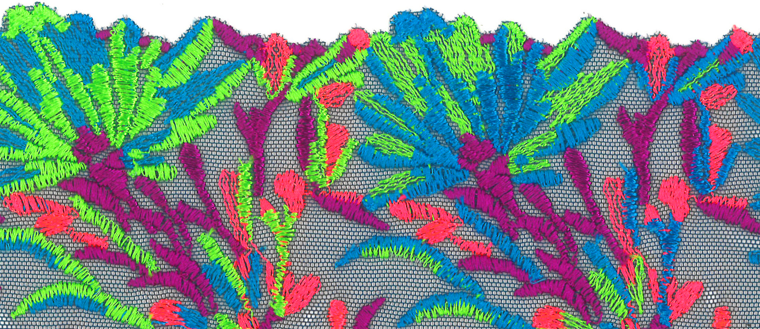 Empire Green PrimaDonna 