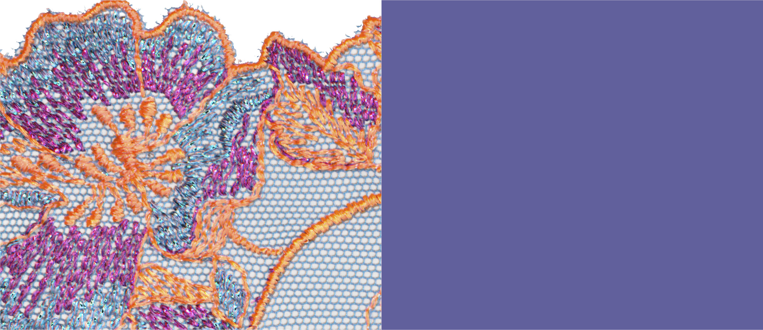 Blue Eyes PrimaDonna 