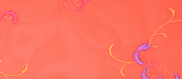 Sunset Blush PrimaDonna 