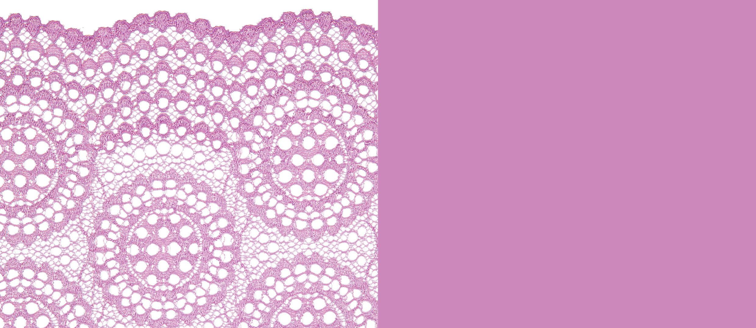 Lavender Cream PrimaDonna 