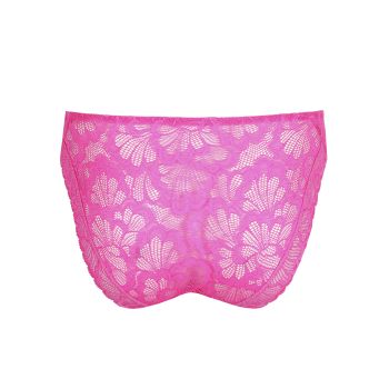 Primadonna Twist Mocuto Rio Briefs in Pixie Blossom 