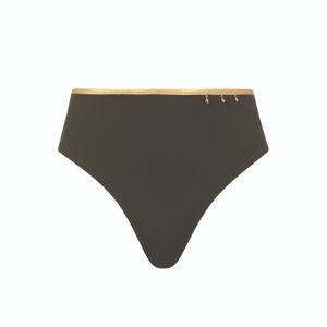 Empreinte Swim Deeper Bikini Brief in Lichen