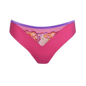 Primadonna Devdaha Rio Briefs in Very Berry